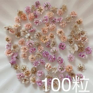 (04)かすみ草ドライフラワー100粒(各種パーツ)