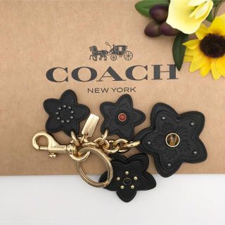 COACH ★大人気★ワイルドフラワー ミックス バッグチャーム ブラック 新品