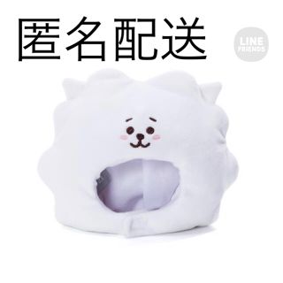 ビーティーイシビル(BT21)のBT21 たっとんコスチュームSサイズ用　ハット　帽子　キャップ　RJ(キャラクターグッズ)