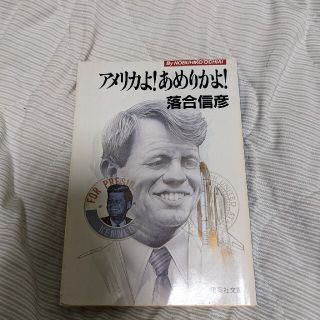 アメリカよ！あめりかよ！(文学/小説)