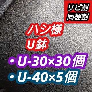 ハシ様 U鉢(プランター)