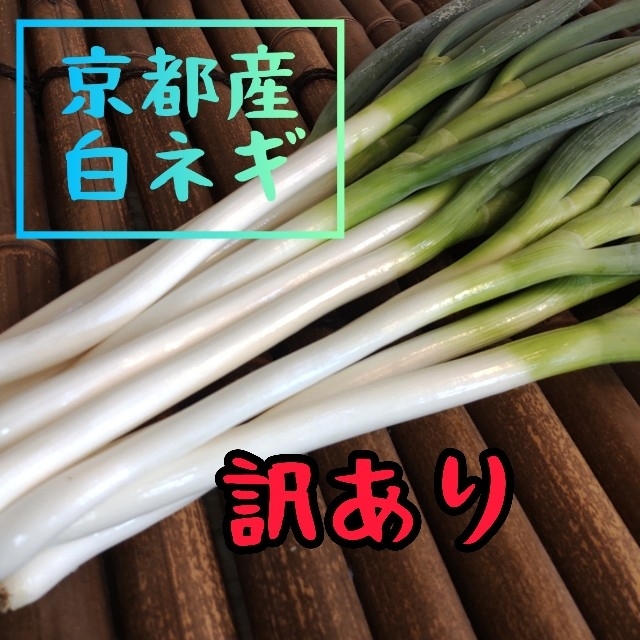 【訳あり】京都産　白ネギ　長ネギ　新鮮（第5弾） 食品/飲料/酒の食品(野菜)の商品写真