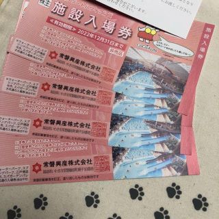 ハワイアンズ 券の通販 5,000点以上 | フリマアプリ ラクマ
