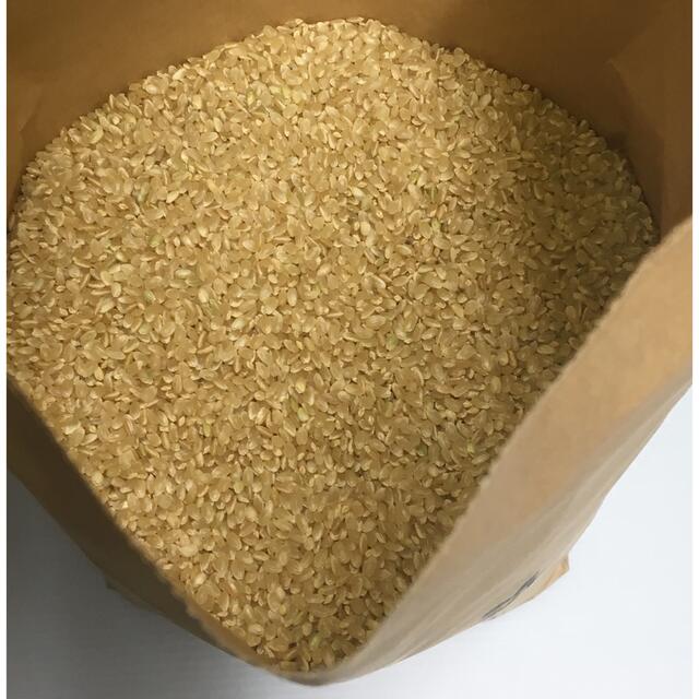 日本国産 aaaa様専用 無農薬コシヒカリ玄米15kg、普通精米5kg 令和3年 徳島県産 徳島県産こしひかり玄米10kg