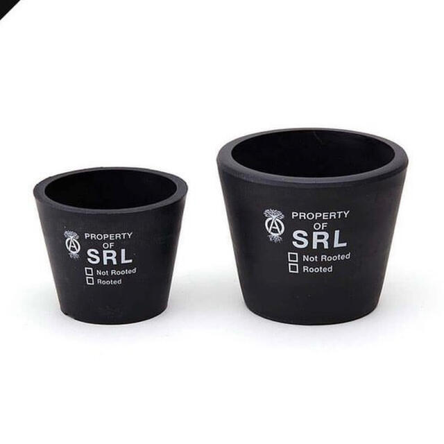 【伊勢丹新宿メンズ館POPUP】SRL TAPEREDTYPE PLANTPOT