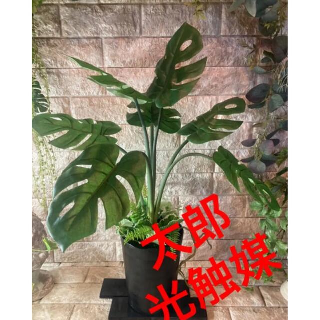 光触媒　人工観葉植物　ウォールグリーン　フェイク　フラワー　oモンステラ