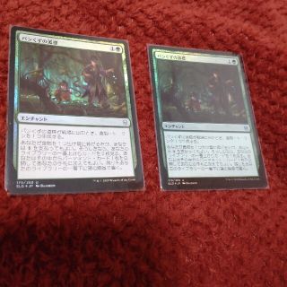 マジックザギャザリング(マジック：ザ・ギャザリング)のmtg パンくずの道標foil2枚(シングルカード)