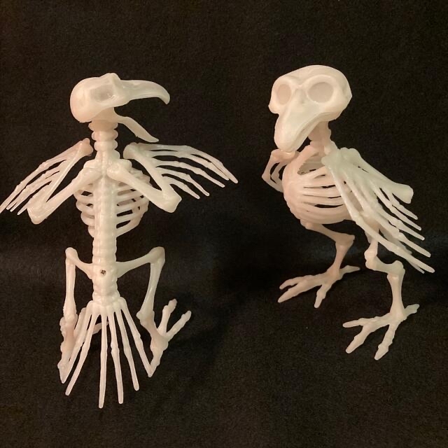 お値下げ❣️鳥 骸骨 フィギュア　4個セット　ハロウィン　飾り　オブジェ　置物 エンタメ/ホビーのフィギュア(SF/ファンタジー/ホラー)の商品写真