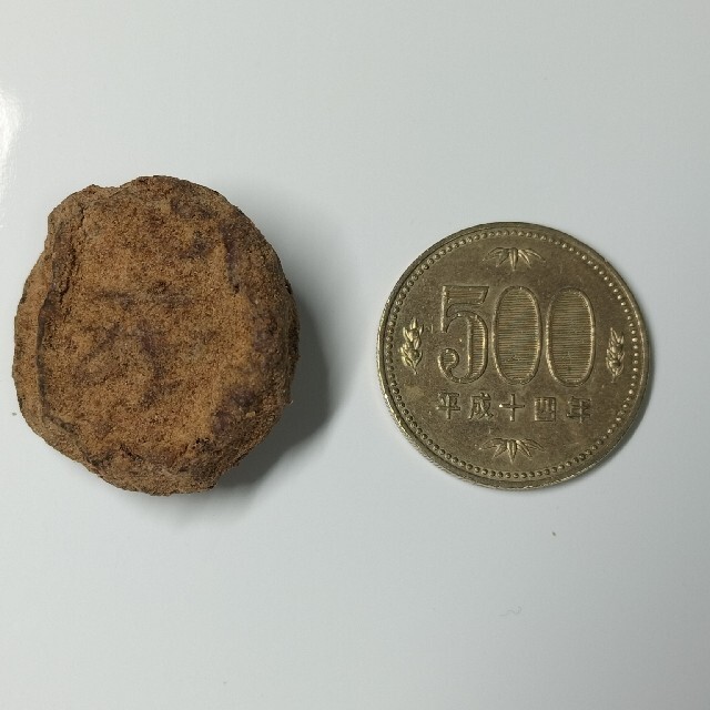 東京都で新たに 梅ぴー500g×4袋 おまとめ買い | www.butiuae.com