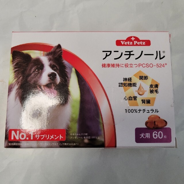 犬用アンチノール 60粒 1箱