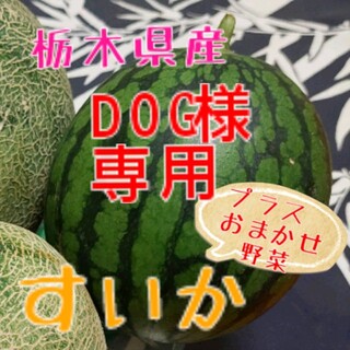DOG様☆専用★栃木県産　小玉すいか【＋野菜】(野菜)
