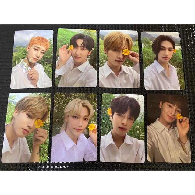 straykids NOEASY コンプセット | www.smartbox.com.sg