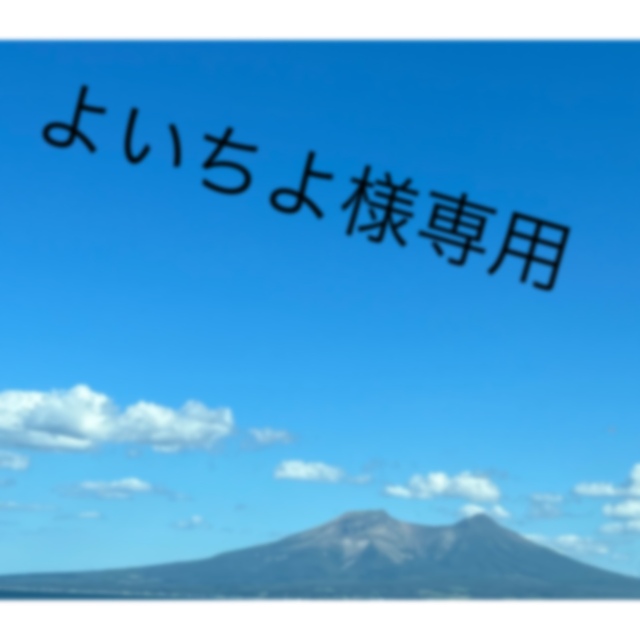 ポケモンカード　SAなど4種