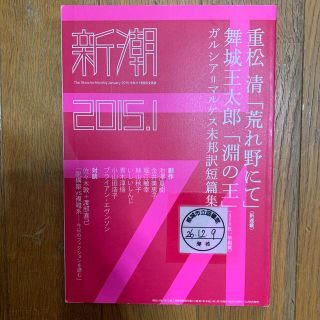 新潮 2015年 01月号(アート/エンタメ/ホビー)