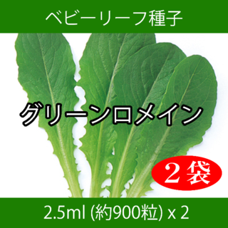 ベビーリーフ種子 B-05 グリーンロメイン 2.5ml 約900粒 x 2袋(野菜)