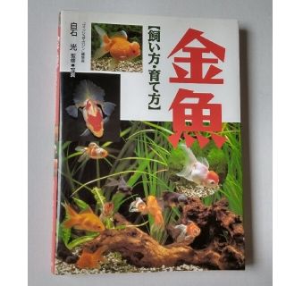 金魚飼い方・育て方(住まい/暮らし/子育て)