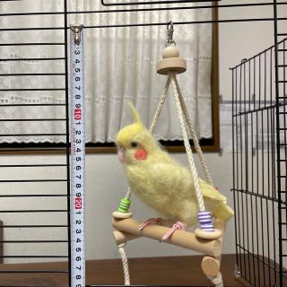 インコのハンドメイドおもちゃ　三角ブランコ　(鳥)