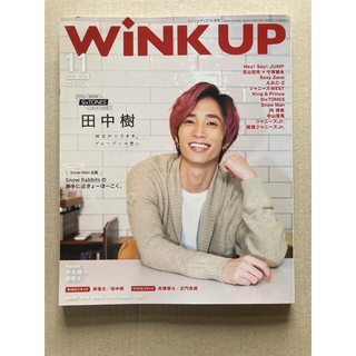 ワニブックス(ワニブックス)のWink up (ウィンク アップ) 2020年 11月号(その他)