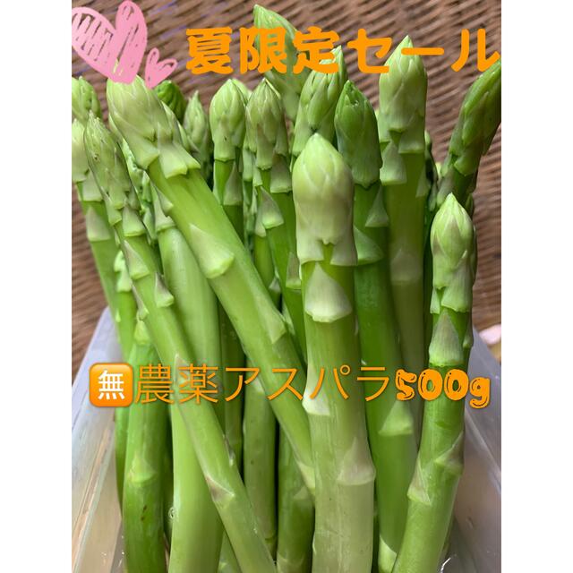 無農薬グリーンアスパラガス500g 食品/飲料/酒の食品(野菜)の商品写真