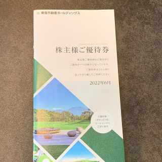 東急不動産ホールディングス　株主優待(その他)