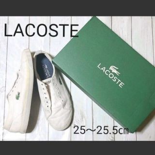 ラコステ(LACOSTE)の【LACOSTE】マーセル LCR2 キャンパススニーカー(スニーカー)