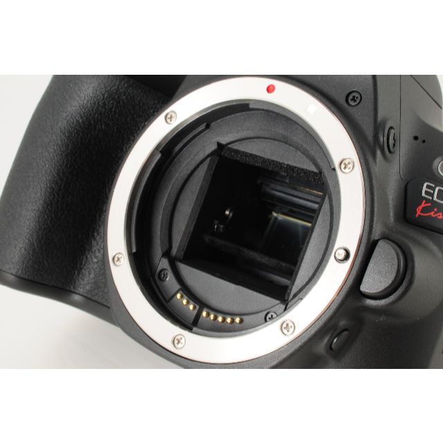 【初心者向け】Canon EOS kiss X9 標準/望遠 Wレンズ 高性能