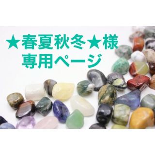 ★春夏秋冬★様専用ページ(リング)