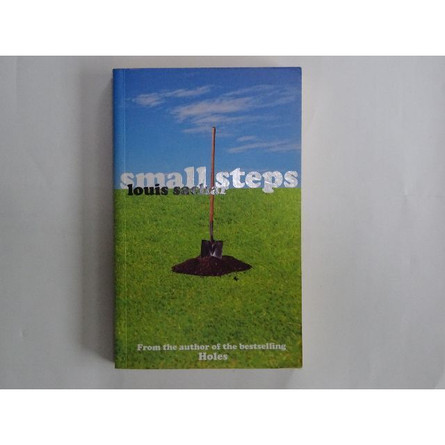 small steps エンタメ/ホビーの本(洋書)の商品写真