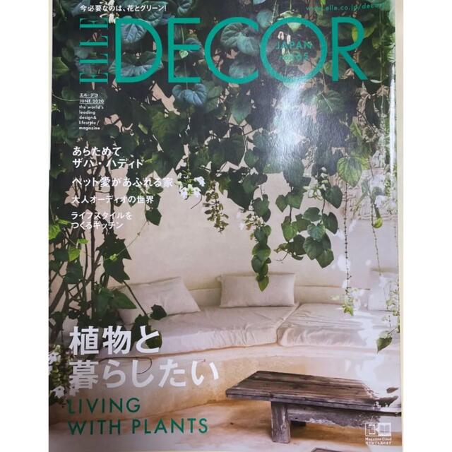 エル・デコ  ELLE DECOR   2020.6 No.165 エンタメ/ホビーの本(住まい/暮らし/子育て)の商品写真