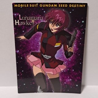 バンダイ(BANDAI)のガンダムSEED DESTINY　カードダスマスターズ(カード)