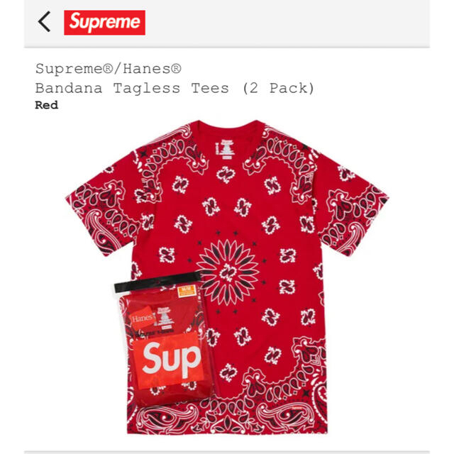 Supreme(シュプリーム)のSupreme / Hanes Bandana Tagless Tees  メンズのトップス(Tシャツ/カットソー(半袖/袖なし))の商品写真