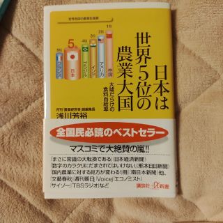 日本は世界５位の農業大国 大嘘だらけの食料自給率(その他)