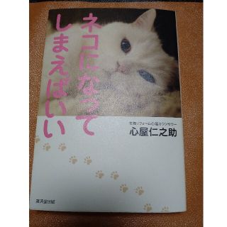 ネコになってしまえばいい(その他)