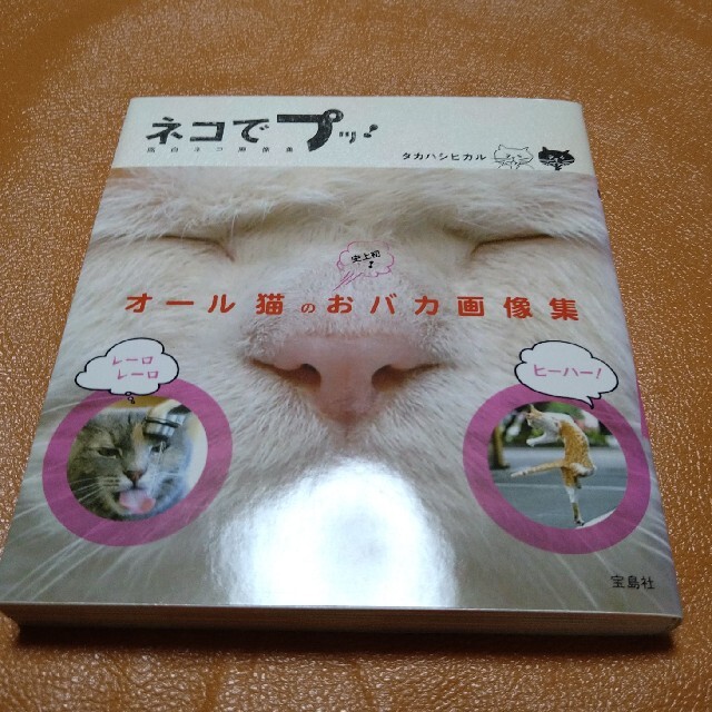 ネコでプッ！ 面白ネコ画像集 エンタメ/ホビーの本(住まい/暮らし/子育て)の商品写真