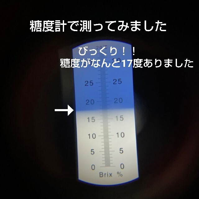 ドライフルーツ絶品‼︎完熟パイナップル糖度17‼︎ 無添加 無着色 砂糖不使用 食品/飲料/酒の食品(フルーツ)の商品写真