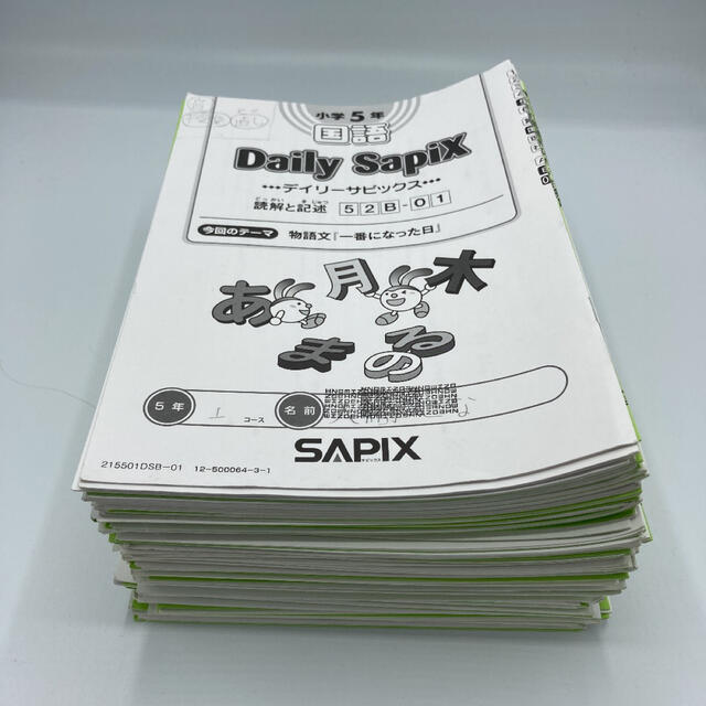 Daily SAPIX【5年】国語 52B-01〜37本