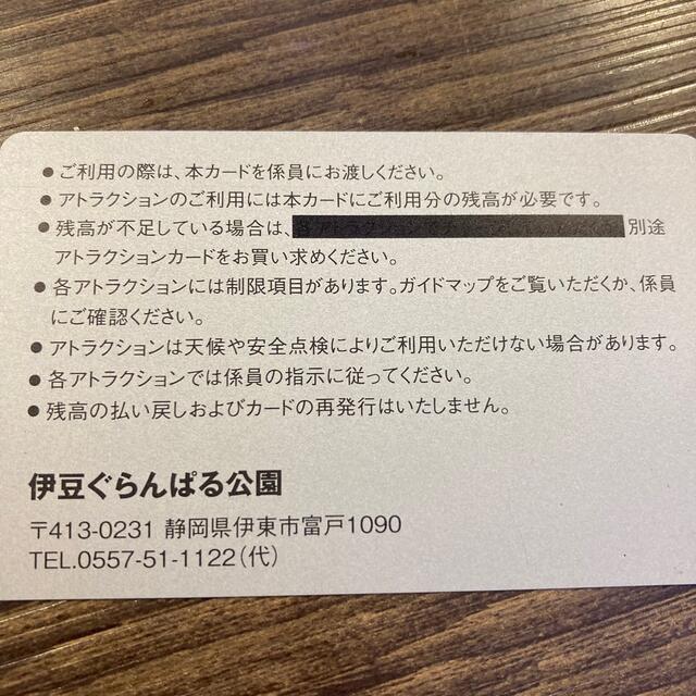 【3000円分】伊豆ぐらんぱる公園アトラクションカード チケットの優待券/割引券(その他)の商品写真