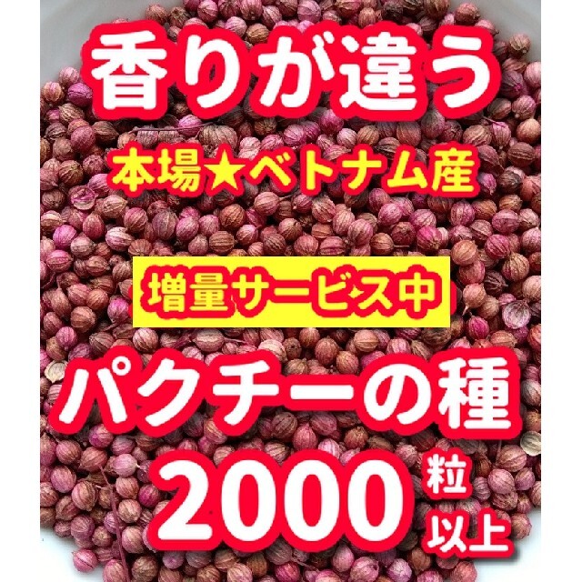 パクチー種22g【2000粒以上】★香りが違う・増量サービス中 食品/飲料/酒の食品(野菜)の商品写真