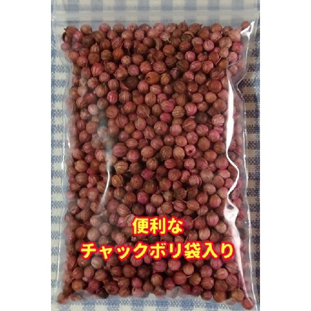 パクチー種22g【2000粒以上】★香りが違う・増量サービス中 食品/飲料/酒の食品(野菜)の商品写真