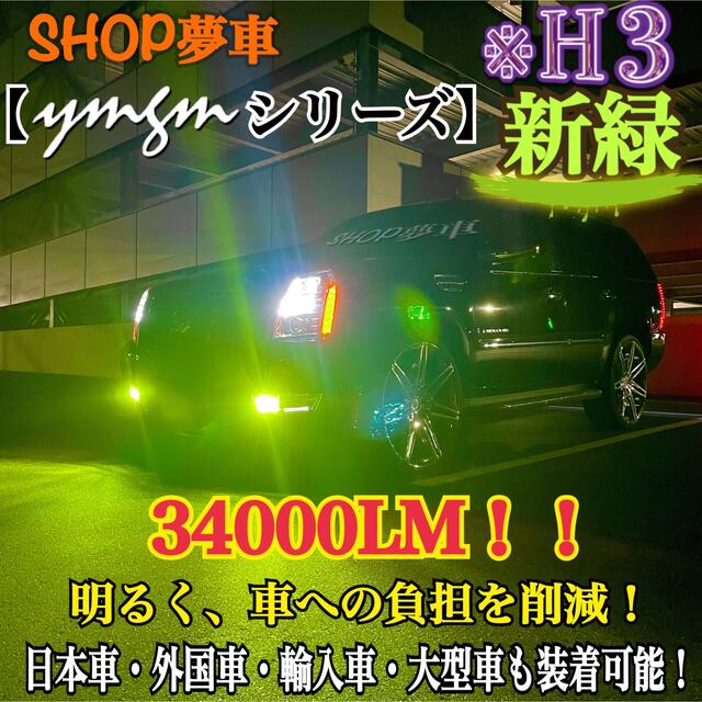 新発売❗️34000LM‼️フォグランプ　LED 新緑✨外車も可　グリーンH3 自動車/バイクの自動車(車外アクセサリ)の商品写真