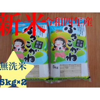 新米　ふさこがね　無洗米　10kg 8/25収穫(米/穀物)