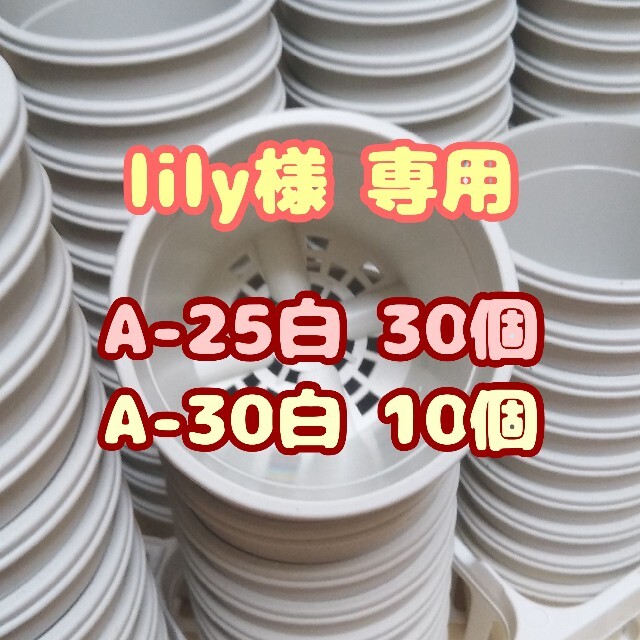 多肉植物用 植木鉢 250個 - www.tigerwingz.com