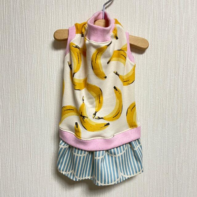『バナナ柄スカートワンピ』　メルロコ　ダックス　犬服 ハンドメイドのペット(ペット服/アクセサリー)の商品写真