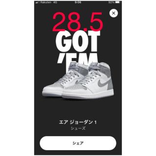 ナイキ(NIKE)のエアジョーダン1 ステルス AIR JORDAN1 stealth28.5㎝(スニーカー)