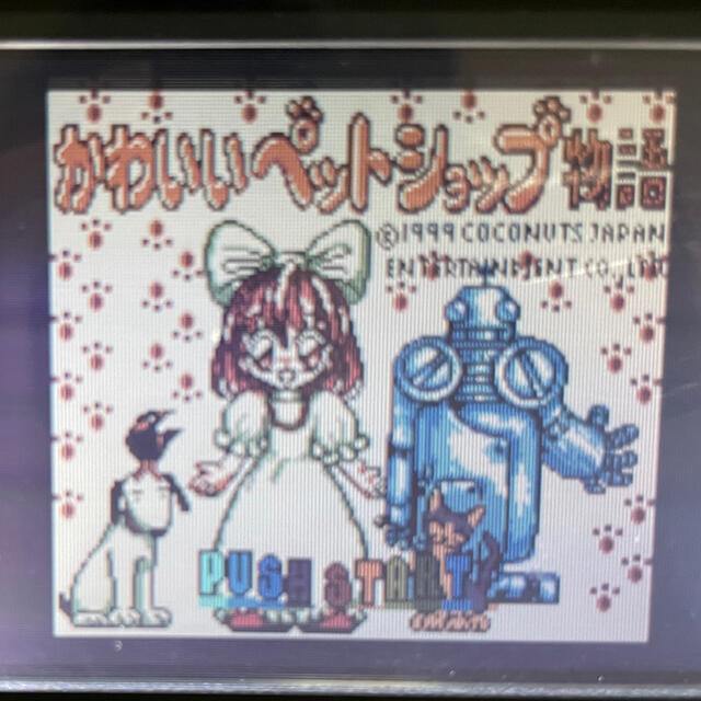 ゲームボーイ(ゲームボーイ)のかわいいペットショップ物語 エンタメ/ホビーのゲームソフト/ゲーム機本体(携帯用ゲームソフト)の商品写真