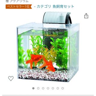 テトラ(Tetra)のテトラ　水槽セット　17cm 金魚(アクアリウム)