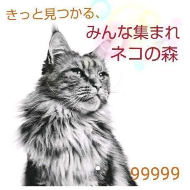 ここから検索　猫　にゃんこ　#みんな集まれネコの森　(ΦωΦ)　幸運　グッズ