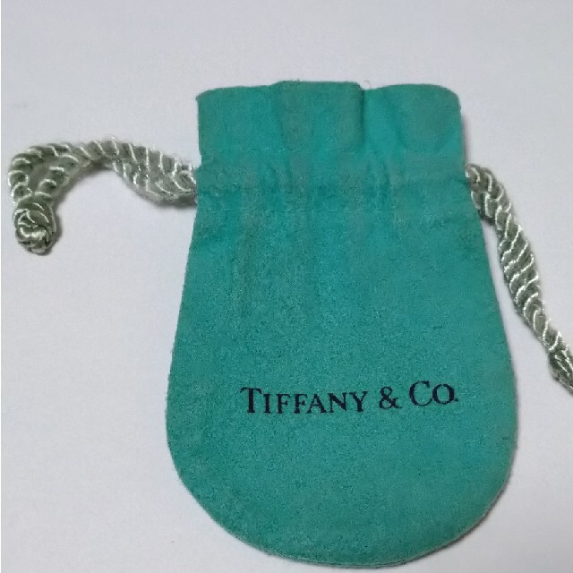 Tiffany　アップルペンダント　シルバー レディースのアクセサリー(ネックレス)の商品写真