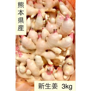 熊本県産　新生姜　3kg (野菜)