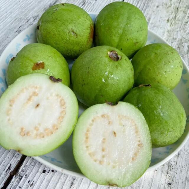 柔らかな質感の グァバ サラダ 白 1キロ 沖縄県産